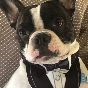 Meet your Posher, Donna